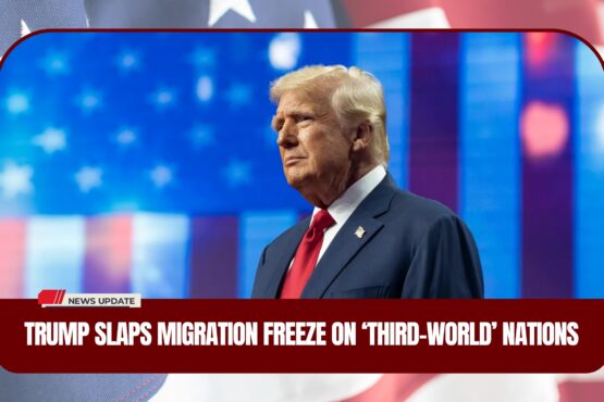 Migration Freeze Shakes NYC Immigrant Roots| The Daily NewYorks