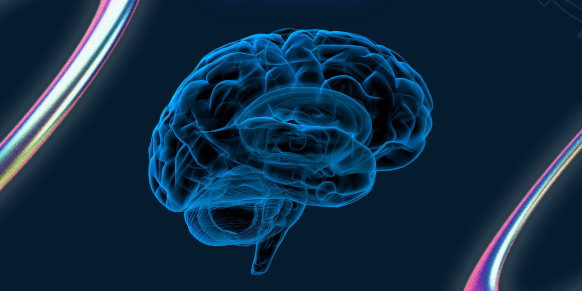 AI for All: Startups Power NYC’s Tech Boom | The Daily Newyorks