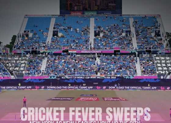 Cricket Fever Grips the City | The Daily Newyorks