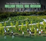 Million Trees Transform NYC |The Daily Newyorks