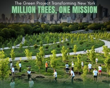 Million Trees Transform NYC |The Daily Newyorks