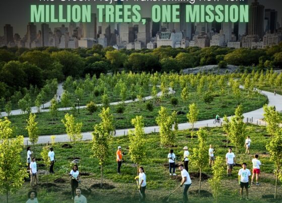 Million Trees Transform NYC |The Daily Newyorks