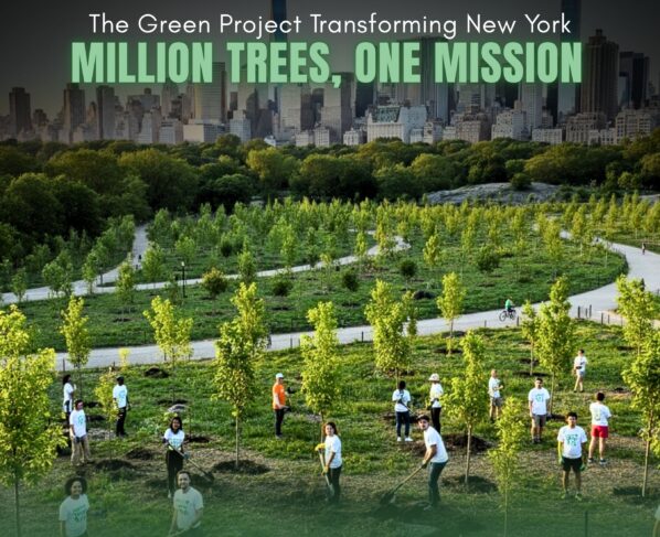 Million Trees Transform NYC |The Daily Newyorks