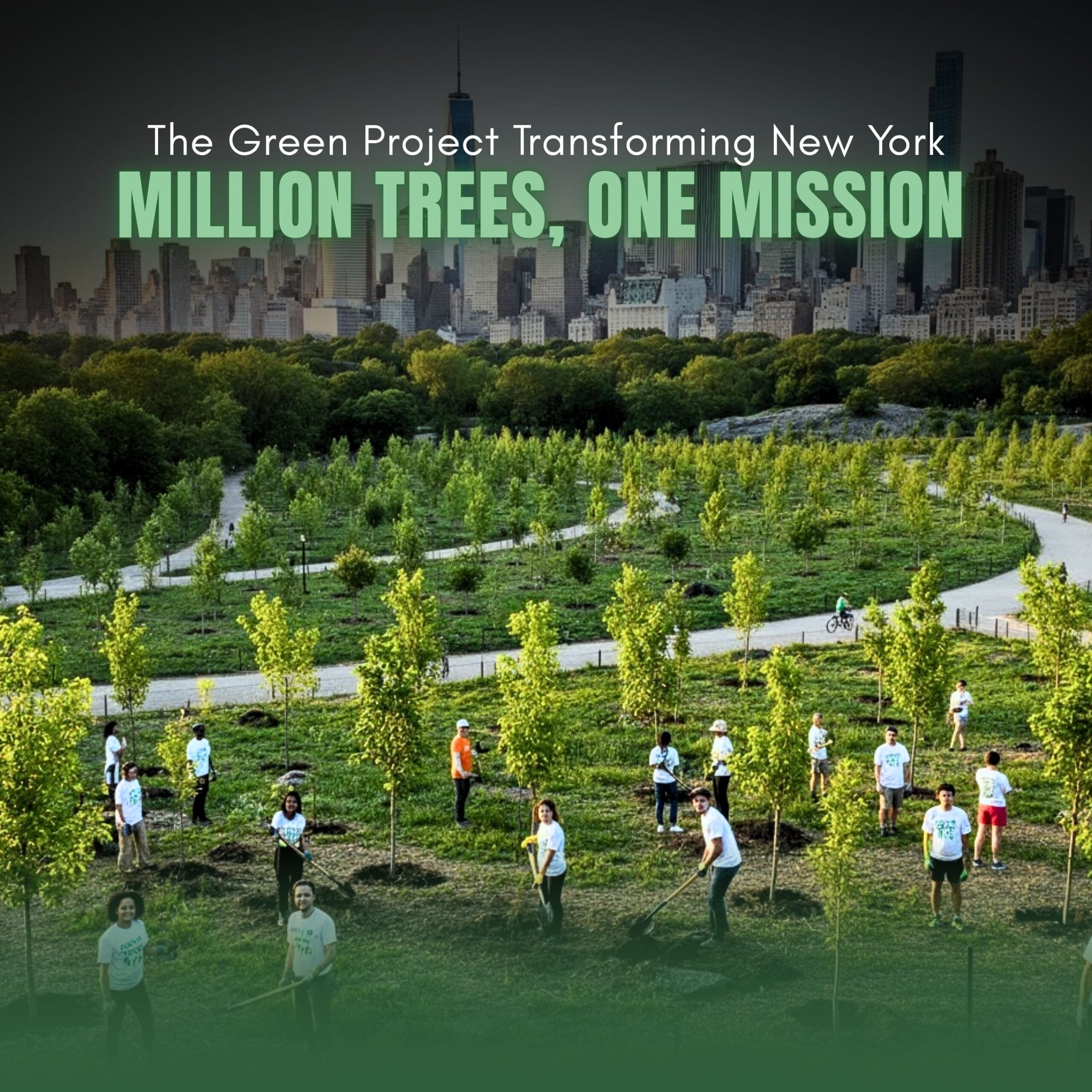 Million Trees, One Mission: The Green Project Transforming New York