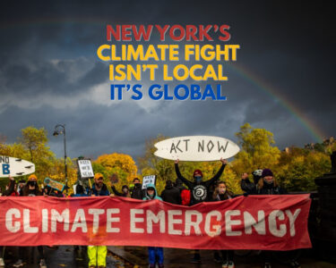 New York’s Climate Fight Goes Global | The Daily Newyorks