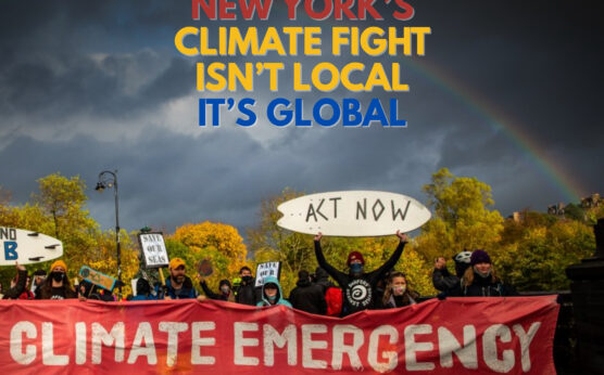New York’s Climate Fight Goes Global | The Daily Newyorks