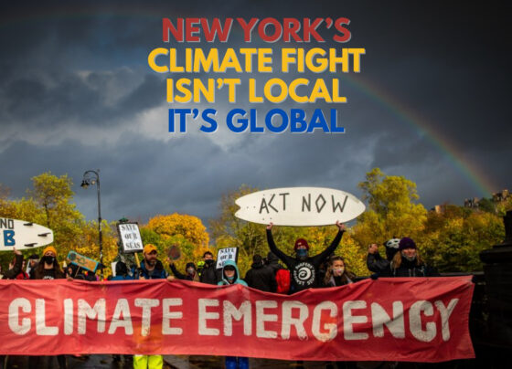 New York’s Climate Fight Goes Global | The Daily Newyorks