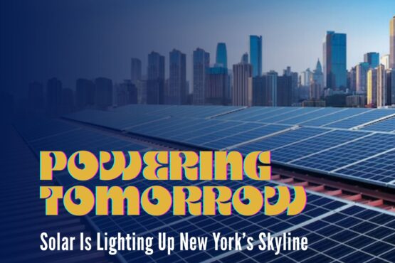 New York’s Solar Rise Transforms City | The Daily Newyorks