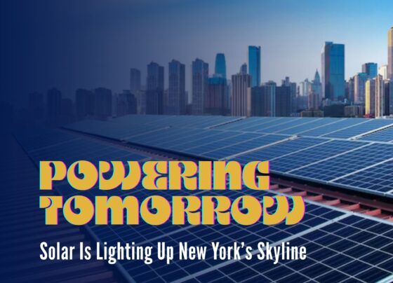 New York’s Solar Rise Transforms City | The Daily Newyorks